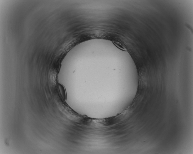 X0000100880188200807111352