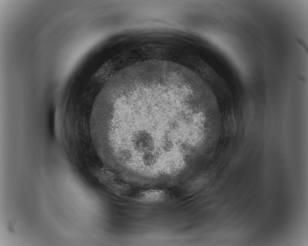 X0000100880189200807111352