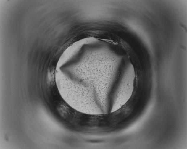 X0000100880190200807111352