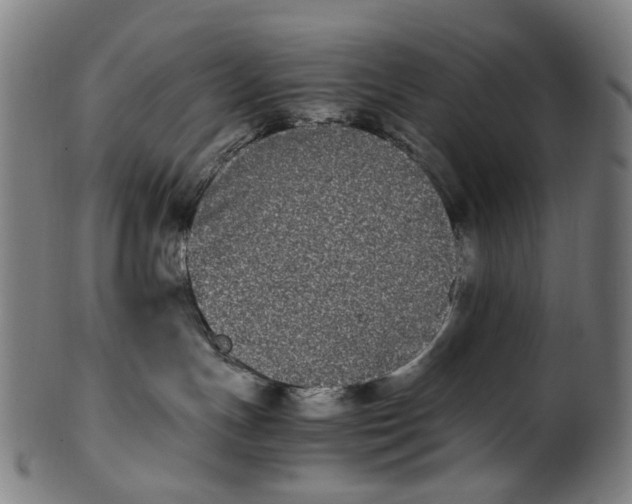 X0000100880191200807111352