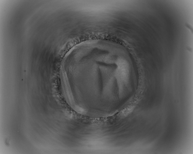 X0000100880192200807111352