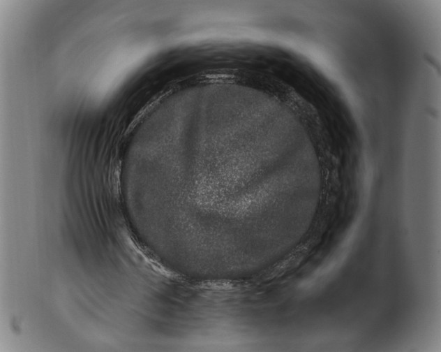 X0000100880194200807111351