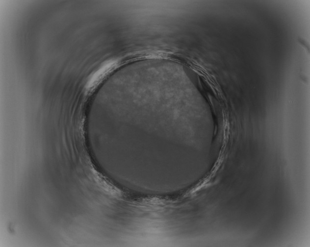 X0000100880197200807111351