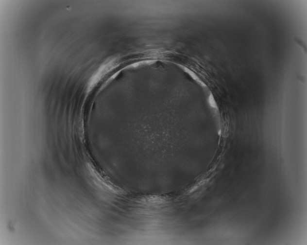 X0000100880198200807111351