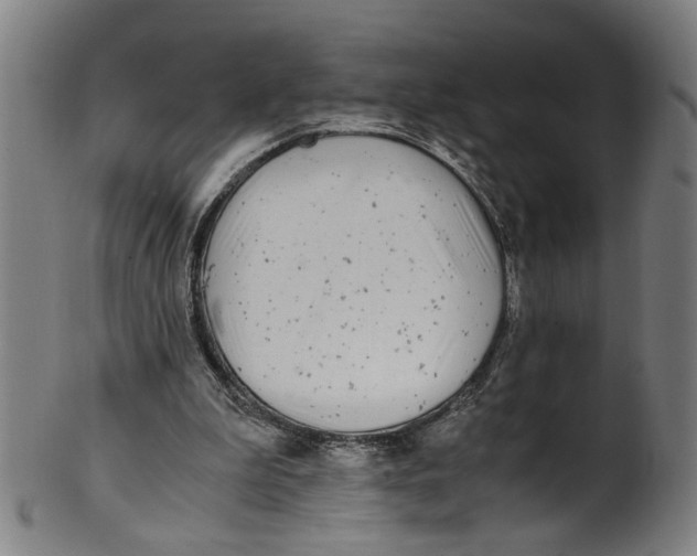 X0000100880199200807111351