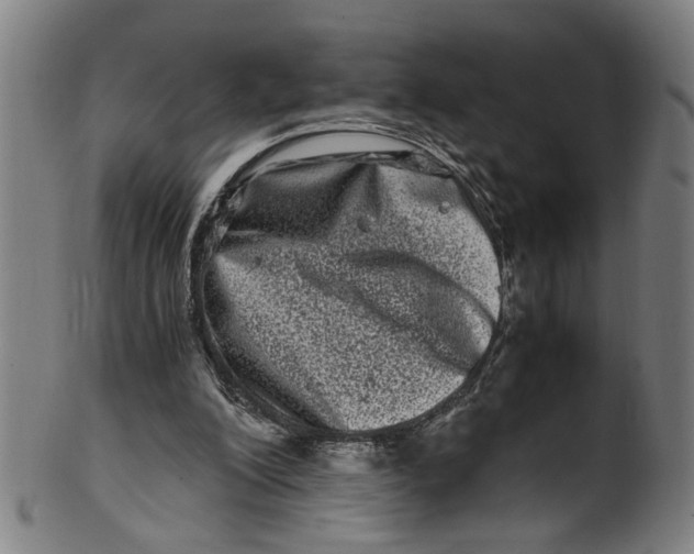 X0000100880200200807111351