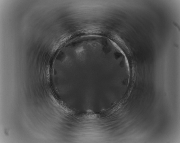 X0000100880202200807111351