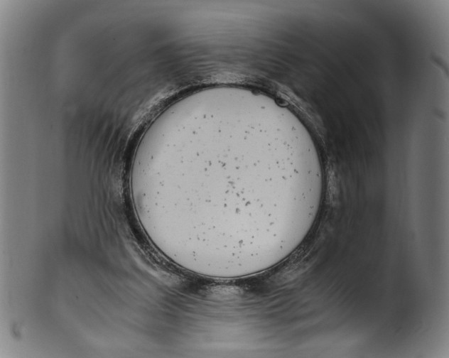 X0000100880203200807111351