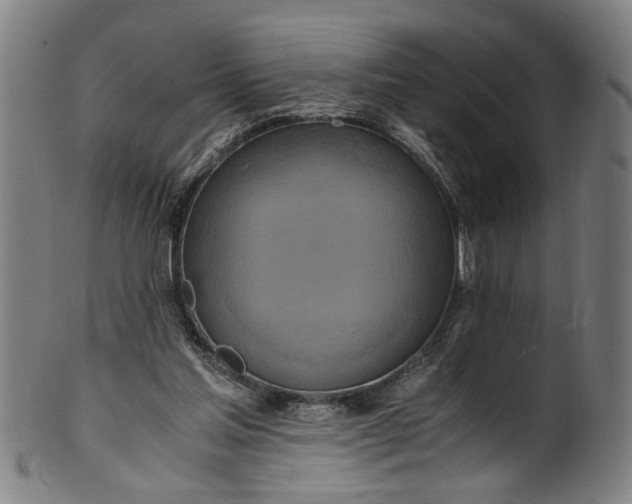 X0000100880205200807111351