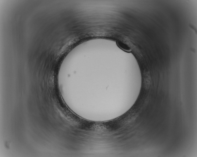 X0000100880207200807111351