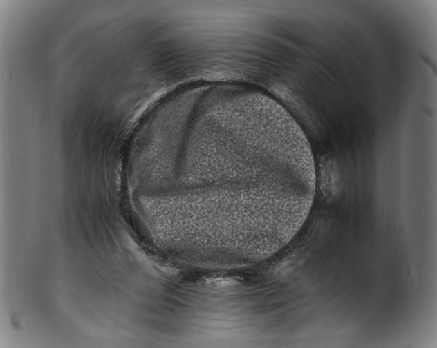 X0000100880208200807111351