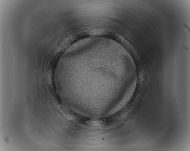 X0000100880209200807111351