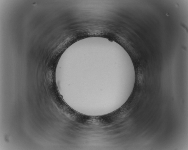 X0000100880211200807111350