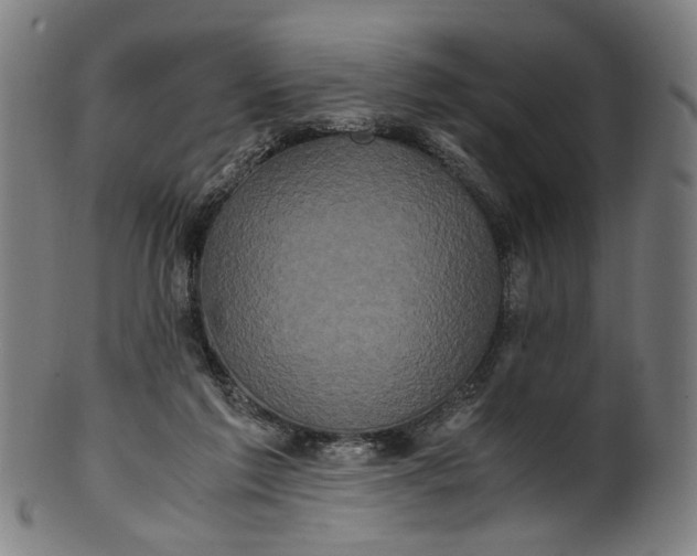 X0000100880213200807111350