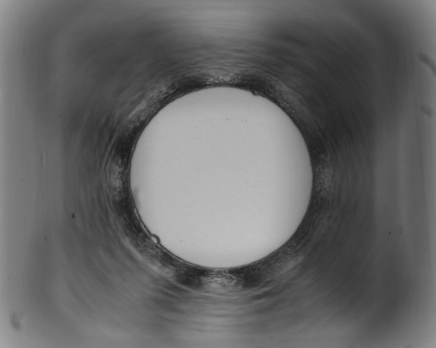 X0000100880215200807111350