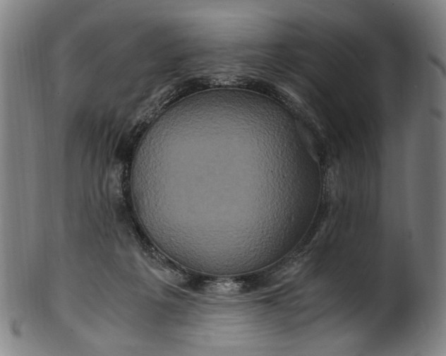 X0000100880217200807111350