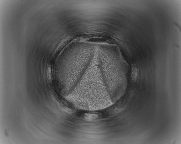 X0000100880220200807111350