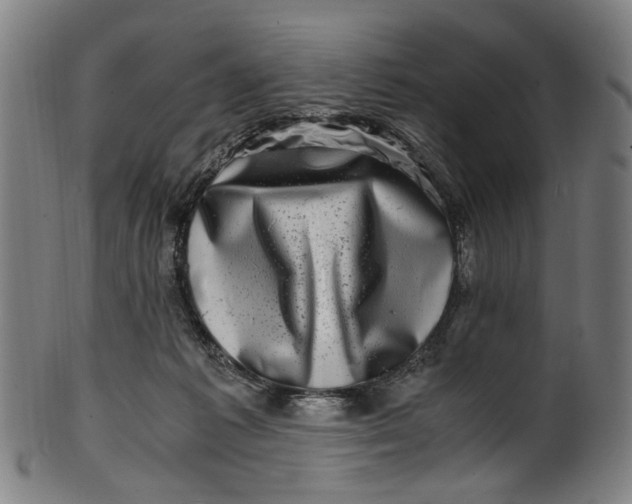 X0000100880221200807111350