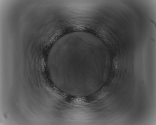 X0000100880223200807111350