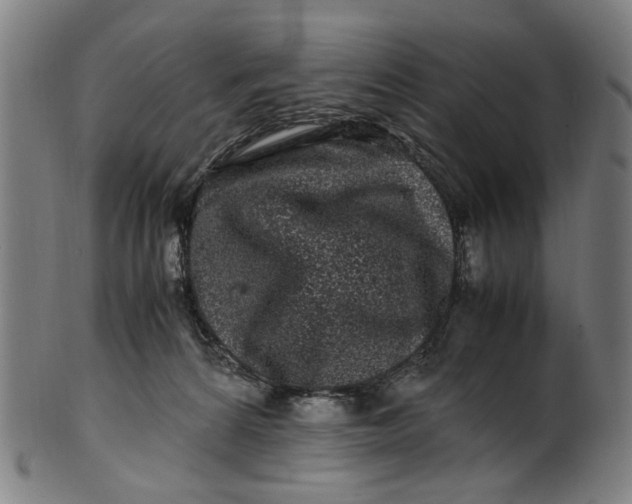 X0000100880224200807111350