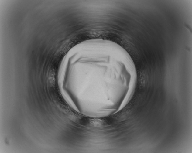 X0000100880226200807111350