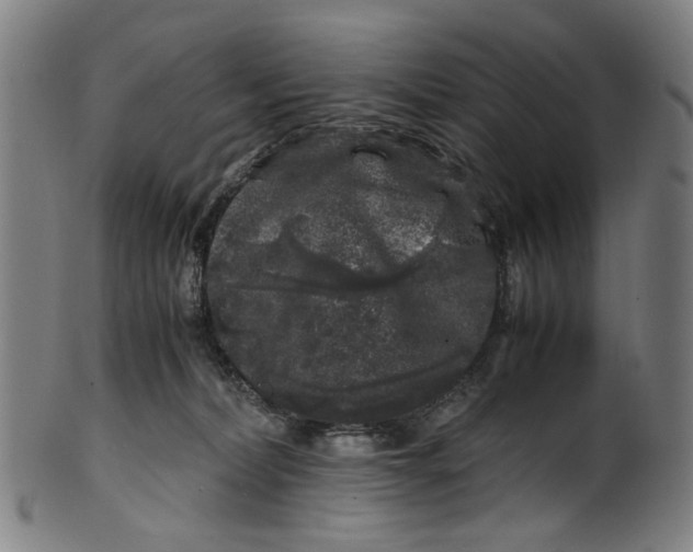 X0000100880228200807111350