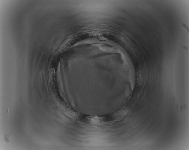 X0000100880229200807111350