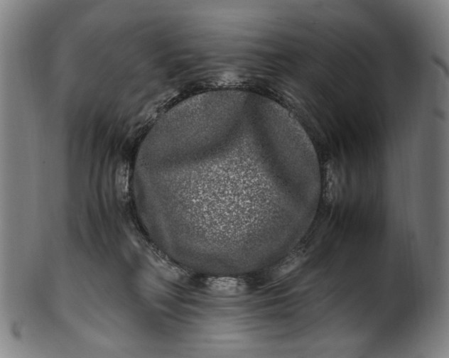 X0000100880230200807111350