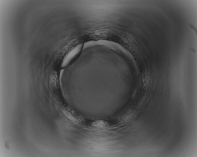 X0000100880231200807111350