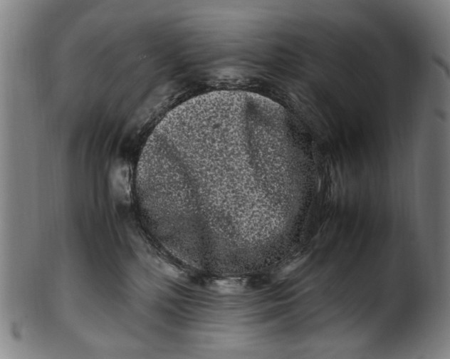 X0000100880232200807111350