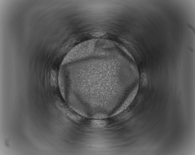 X0000100880234200807111350