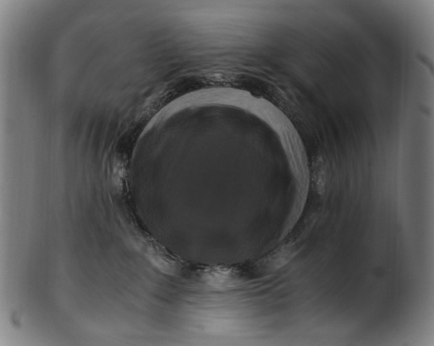 X0000100880235200807111350