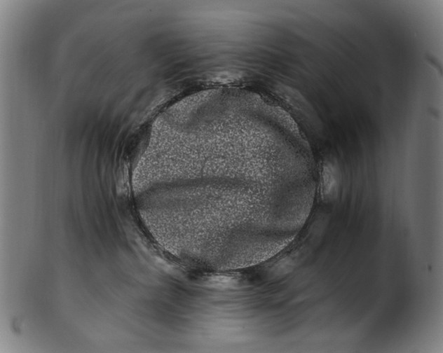 X0000100880236200807111350