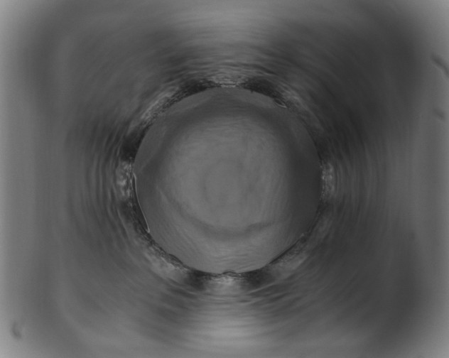 X0000100880237200807111350