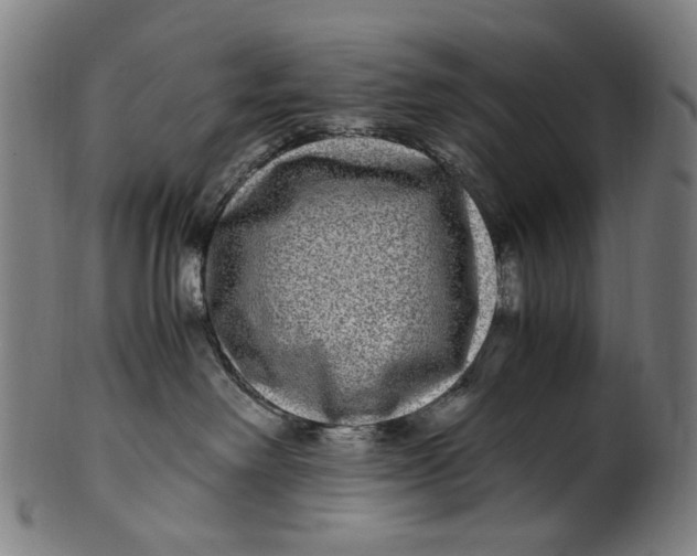 X0000100880238200807111350