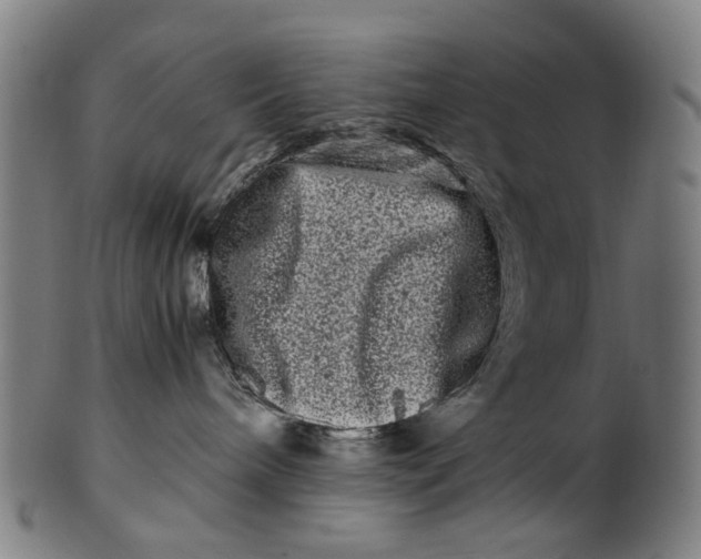 X0000100880240200807111350