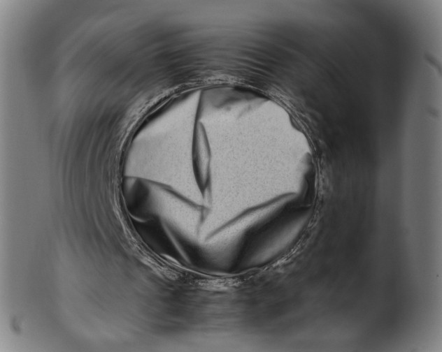 X0000100880241200807111349