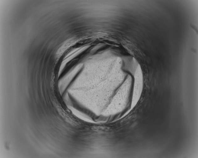 X0000100880242200807111349