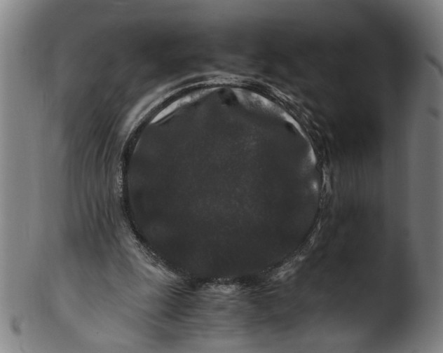 X0000100880247200807111349