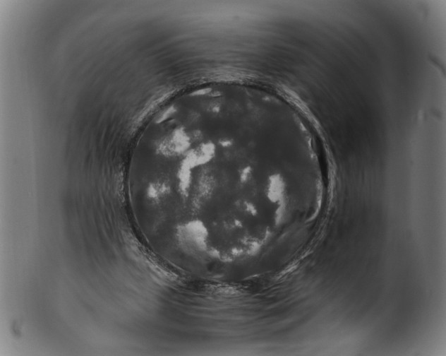 X0000100880249200807111350