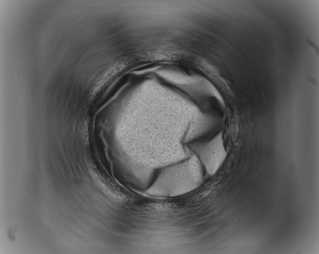 X0000100880250200807111350