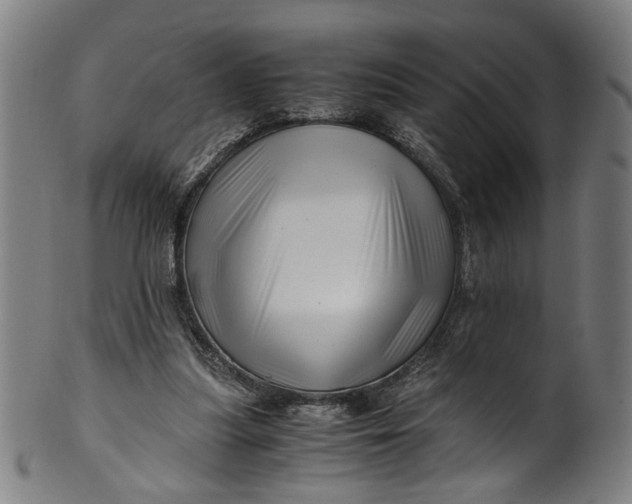 X0000100880251200807111350