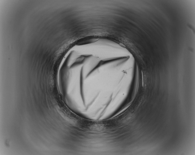 X0000100880252200807111350