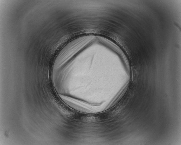 X0000100880253200807111350