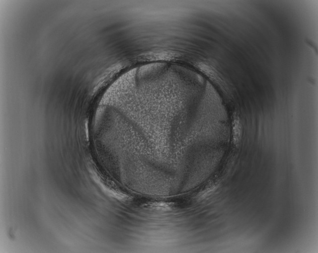 X0000100880254200807111350