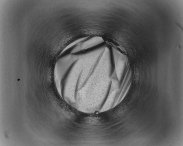 X0000100880255200807111350