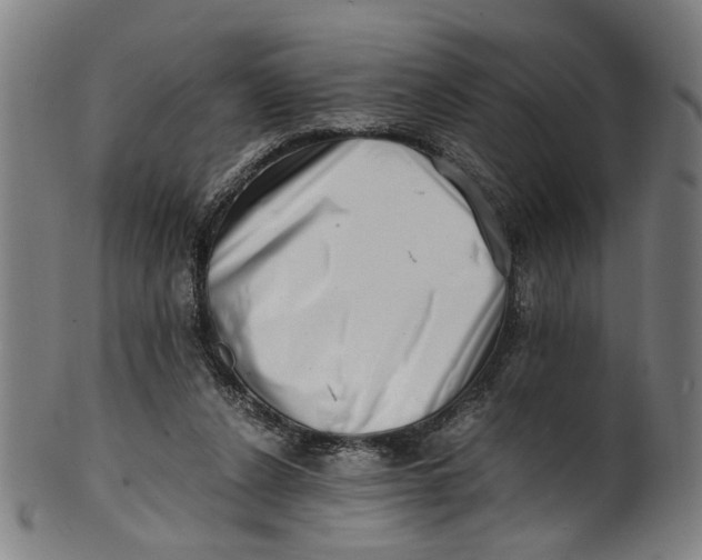 X0000100880256200807111350