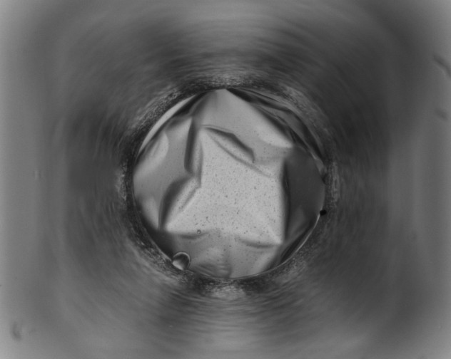 X0000100880258200807111350