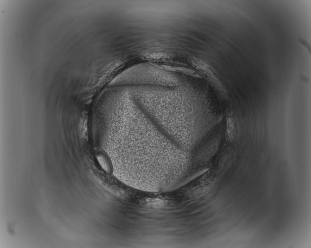 X0000100880259200807111350