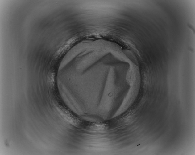 X0000100880260200807111350